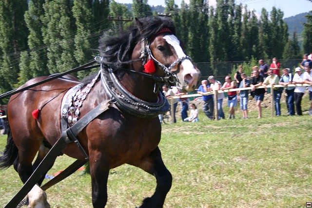 img00023.jpg